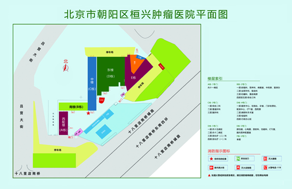 赤裸与操鸡北京市朝阳区桓兴肿瘤医院平面图